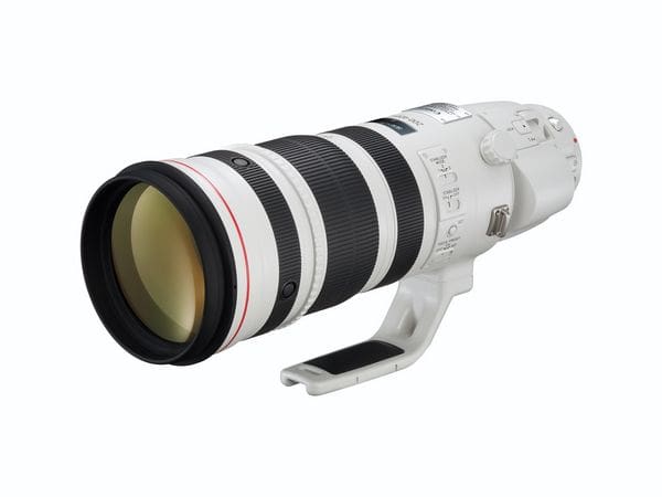 image_EF 200 400mm f4L IS USM EXTENDER 1.4P_tcm13-816745