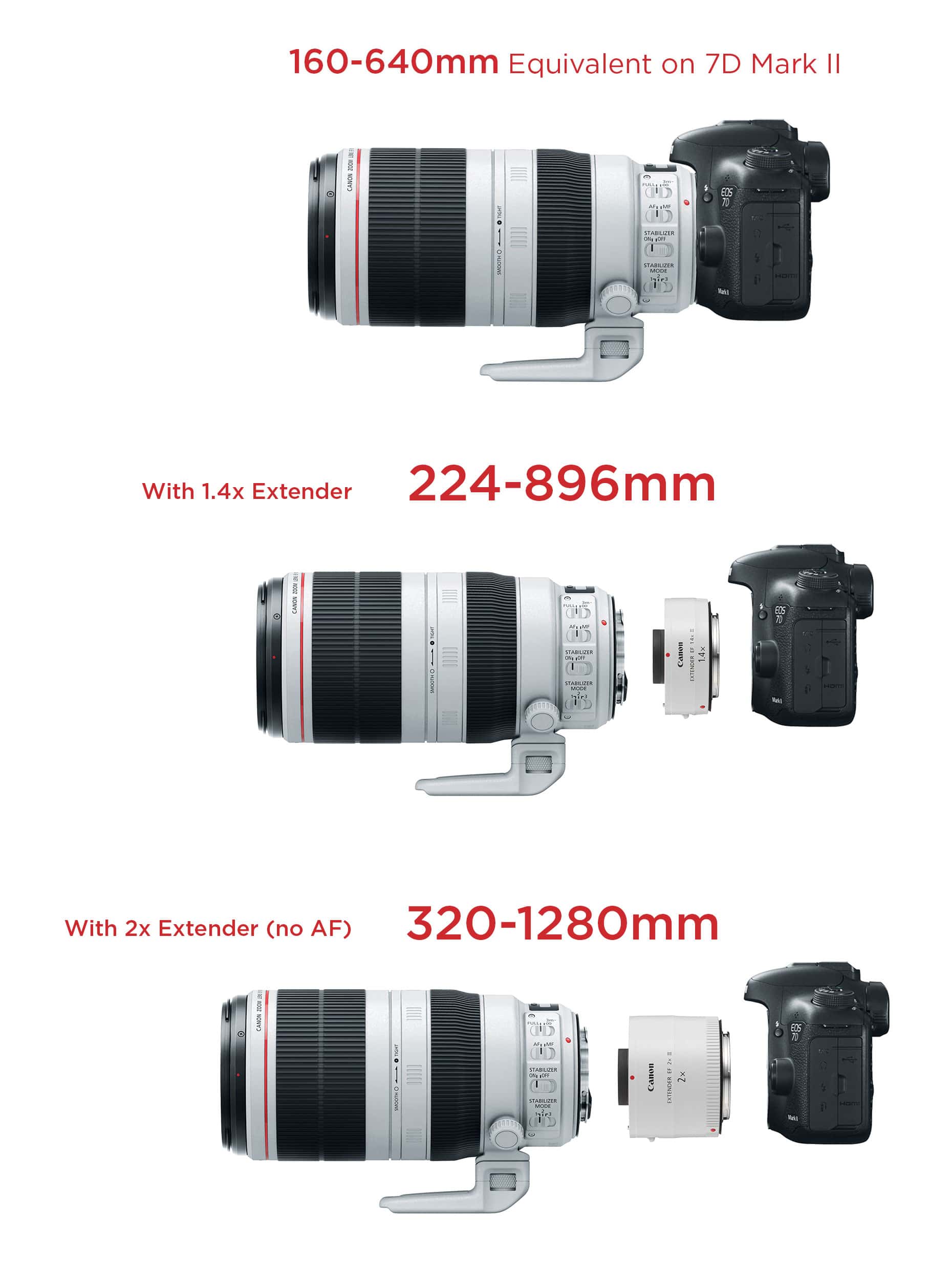 Canon 100-400 II with 1.4x Extender - You won't believe this!