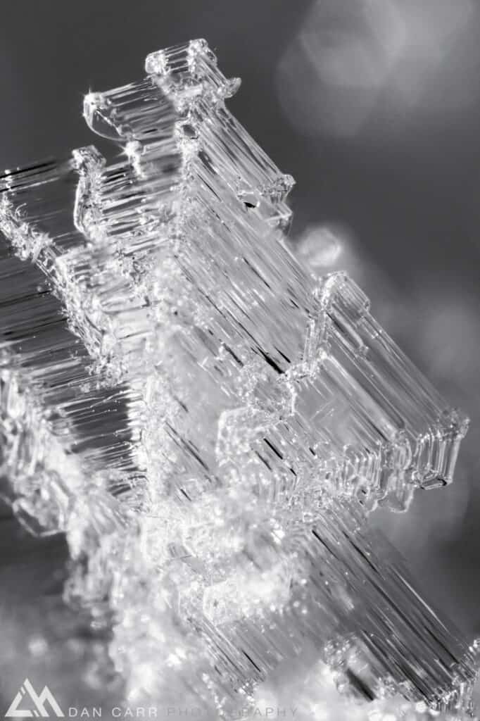 SnowCrystal_dancarr