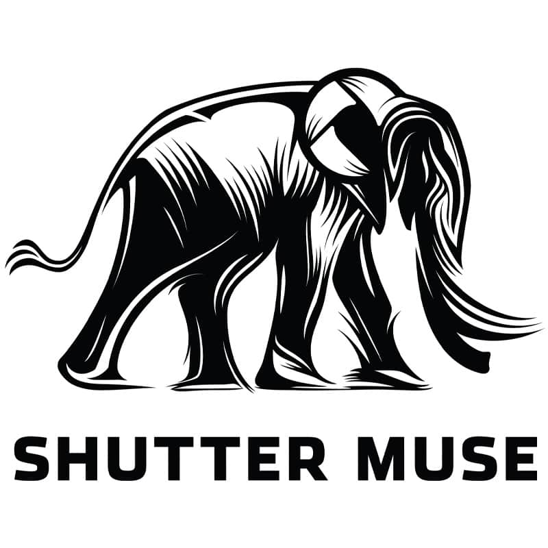 ShutterMuse_Logo_Full_800x800