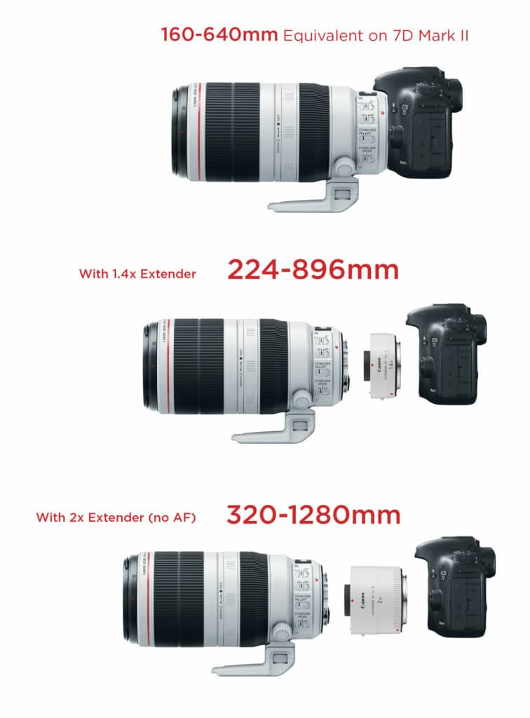 canon-7d-mk2-100-400-extenders