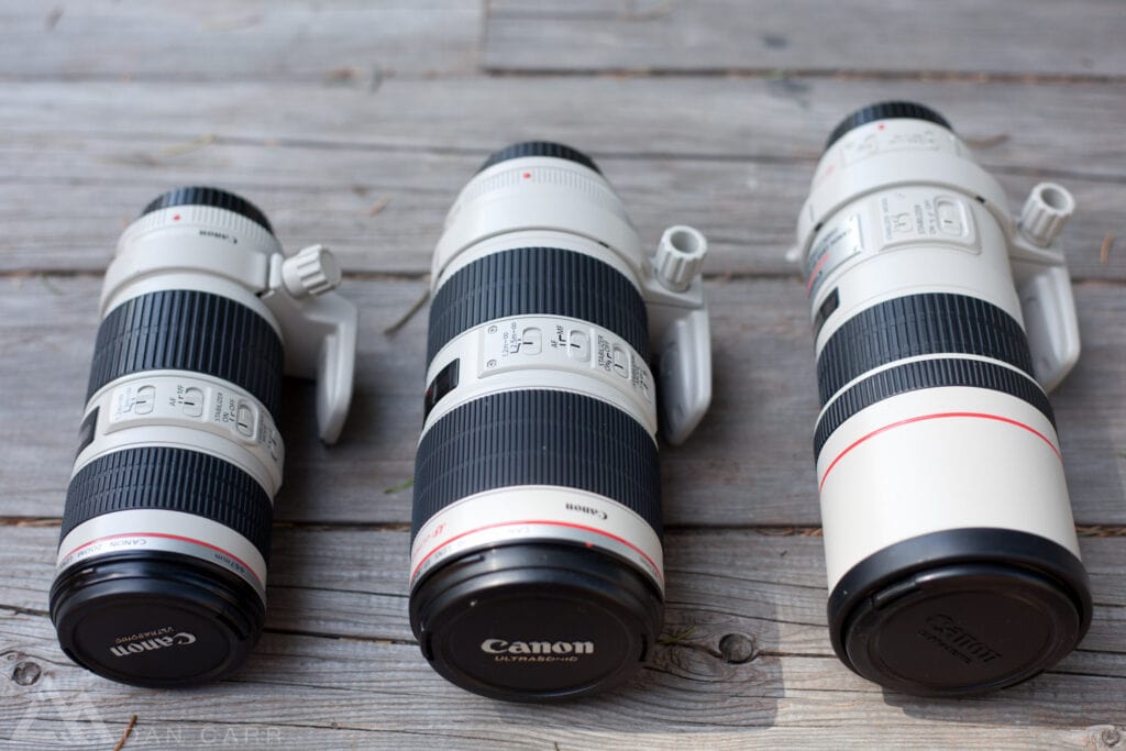 I took this back when I first moved to the 70-200 f/4 (left) from the 70-200 f2/8 (middle). On the right is the 300mm f/4. All were eventually replaced by the relatively tiny 70-300 f/4-5.6 L IS seen below.