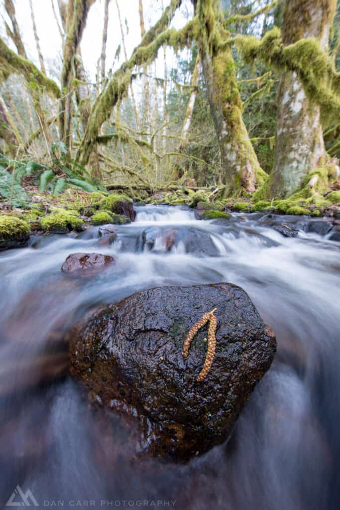 One of the very first photos I shot with the Canon 11-24mm f/4 L - @11mm of course!