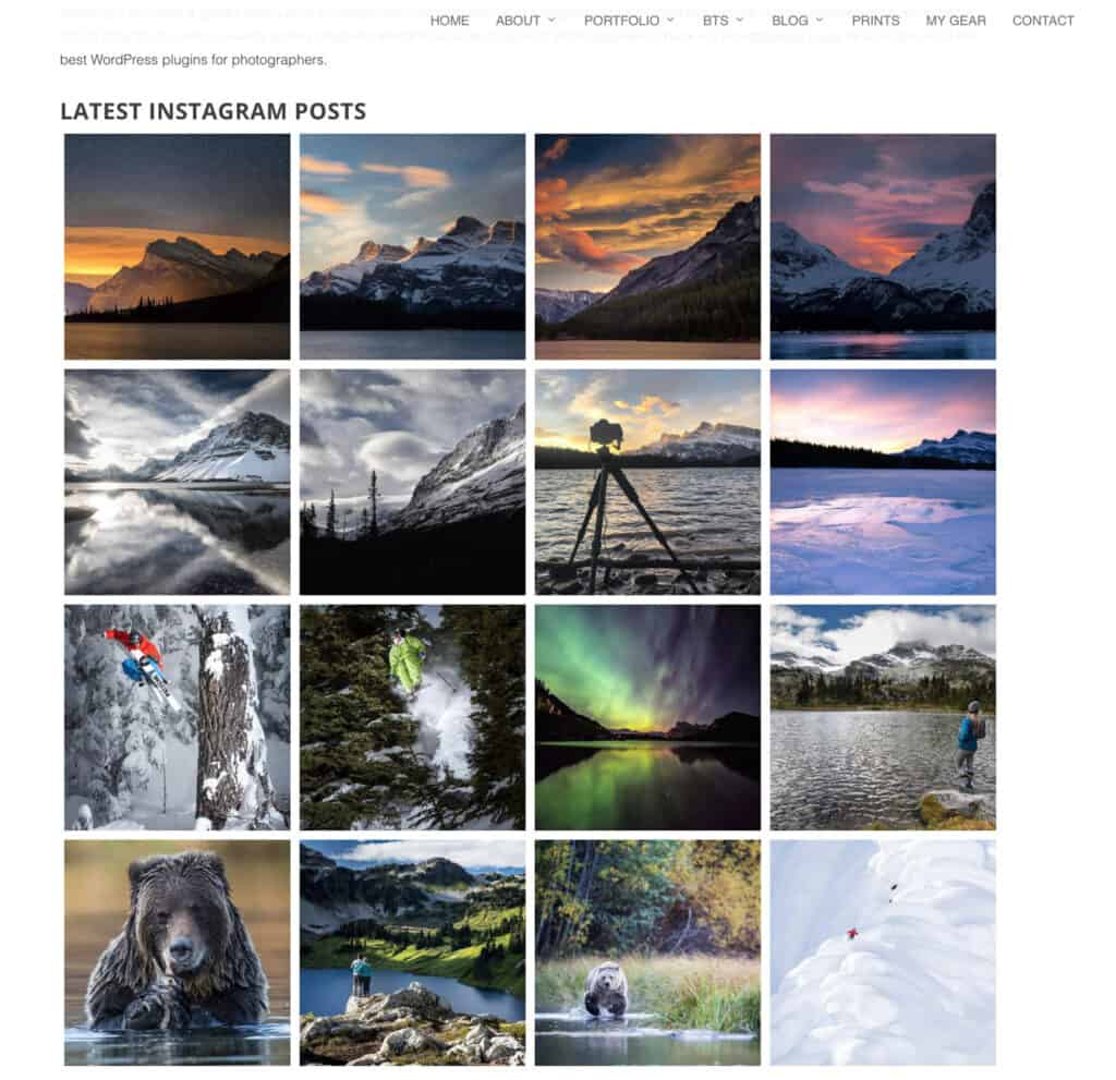 Instagram gallery on my site, created with Envira Gallery.