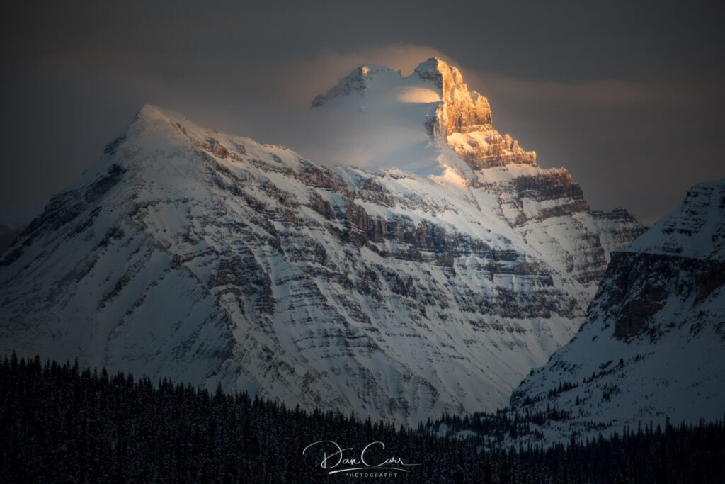 170127_0717_dancarr.jpg